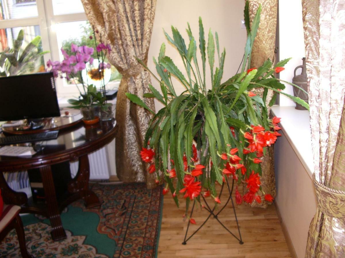 Hotel Sveciu Namai Avada à Klaipėda Extérieur photo